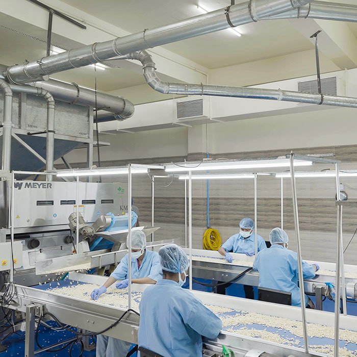 About Bhoomidhan Agro Industries